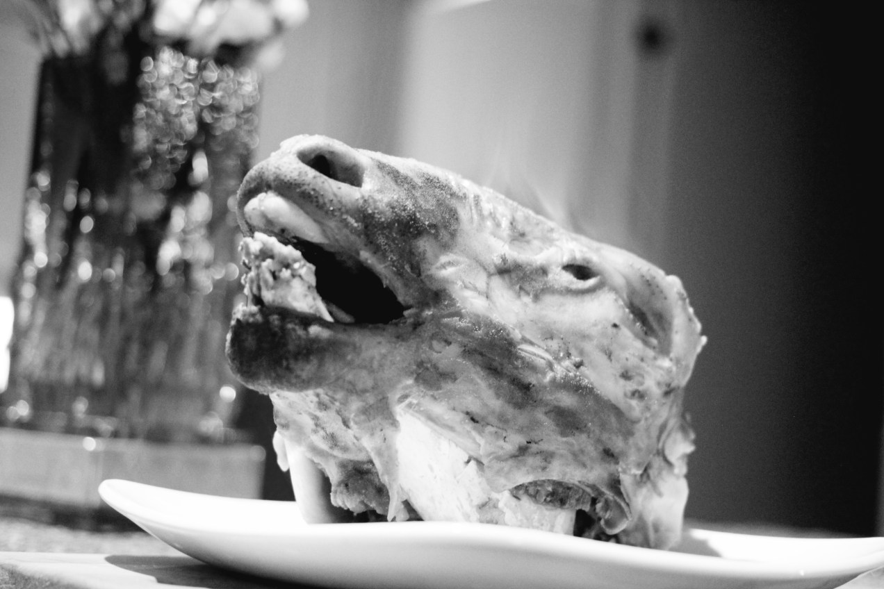 Lampaan pää heti keittämisen jälkeen