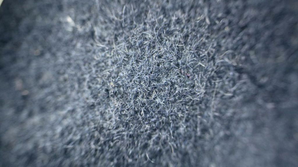 Sarkakangasta, jossa kankaan sidos on kadonnut kokonaan näkyvistä.