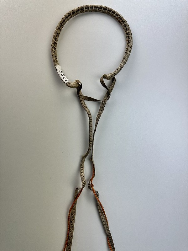 Käkisalmen kihlakunnasta irtosykerö, mahdollisesti Kaukolasta.