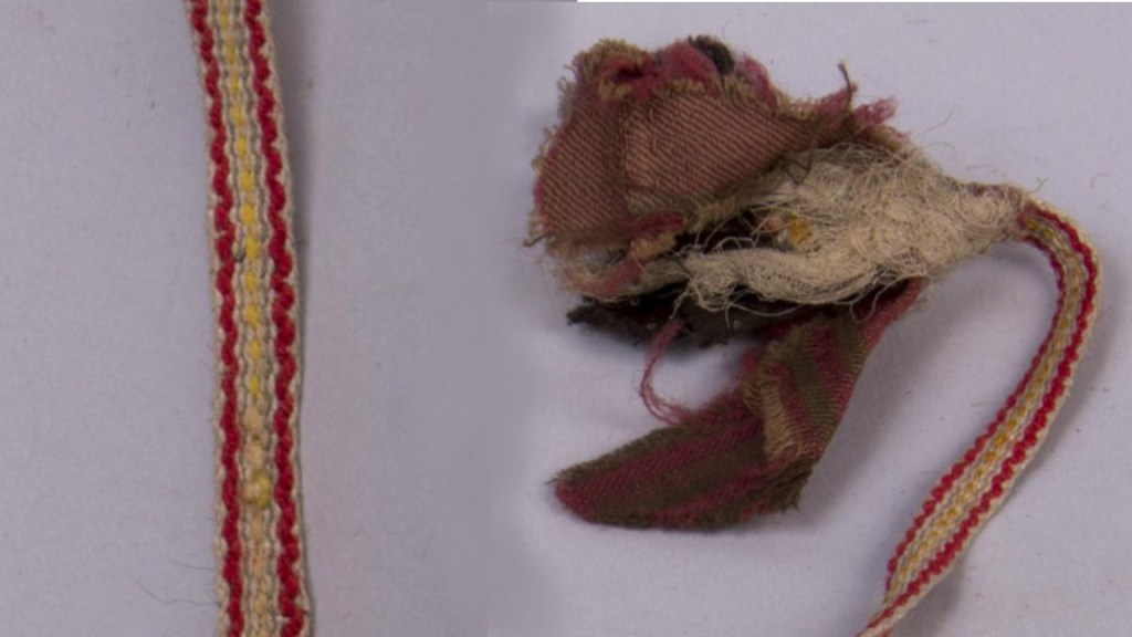 PIrtanauhan pää, yksityiskohta.